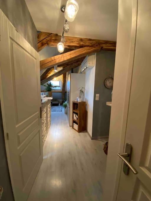 Gap : Centre Ville : Appartement Cosy エクステリア 写真